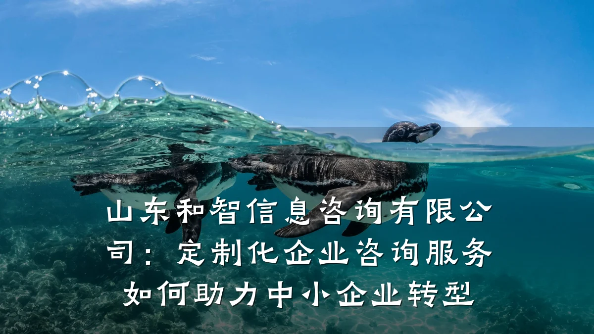 山东和智信息咨询有限公司：定制化企业咨询服务如何助力中小企业转型