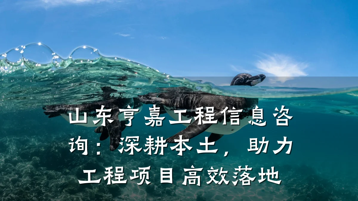 山东亨嘉工程信息咨询：深耕本土，助力工程项目高效落地