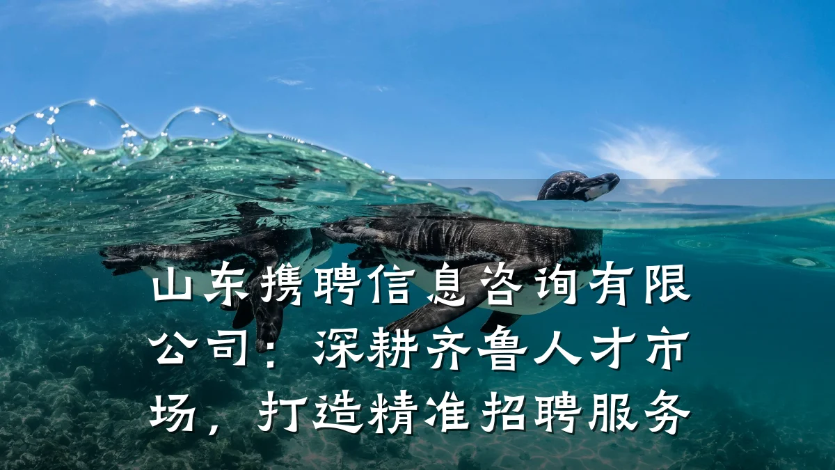 山东携聘信息咨询有限公司：深耕齐鲁人才市场，打造精准招聘服务