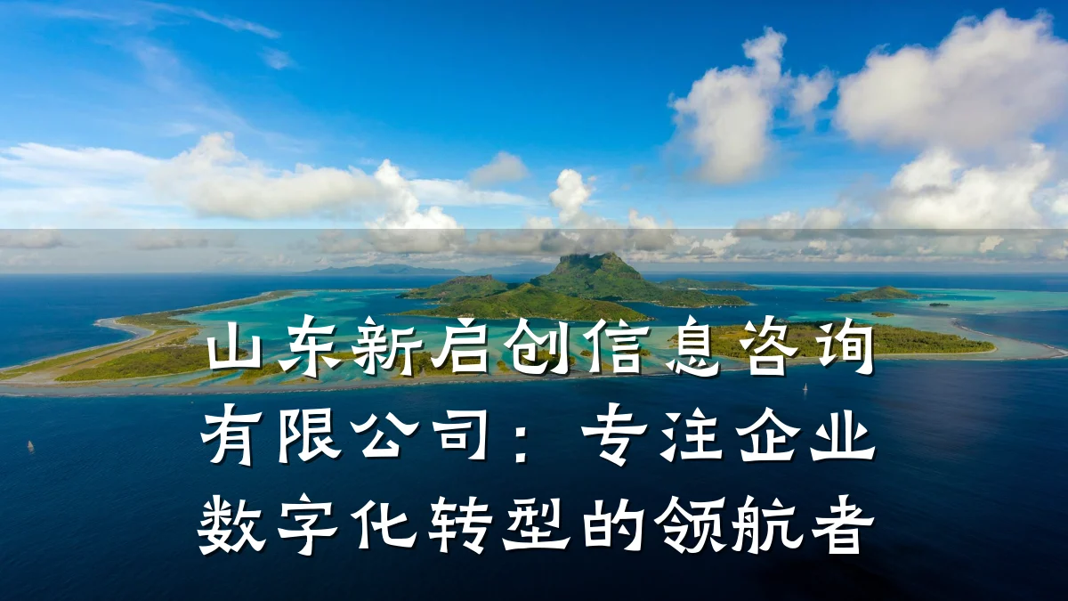 山东新启创信息咨询有限公司：专注企业数字化转型的领航者