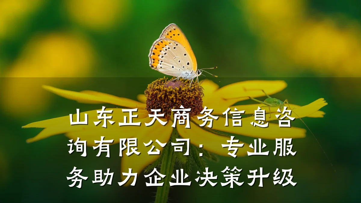 山东正天商务信息咨询有限公司：专业服务助力企业决策升级