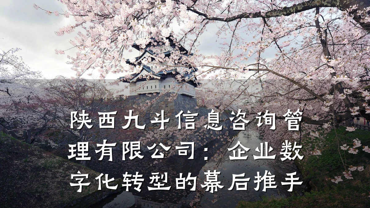 陕西九斗信息咨询管理有限公司：企业数字化转型的幕后推手
