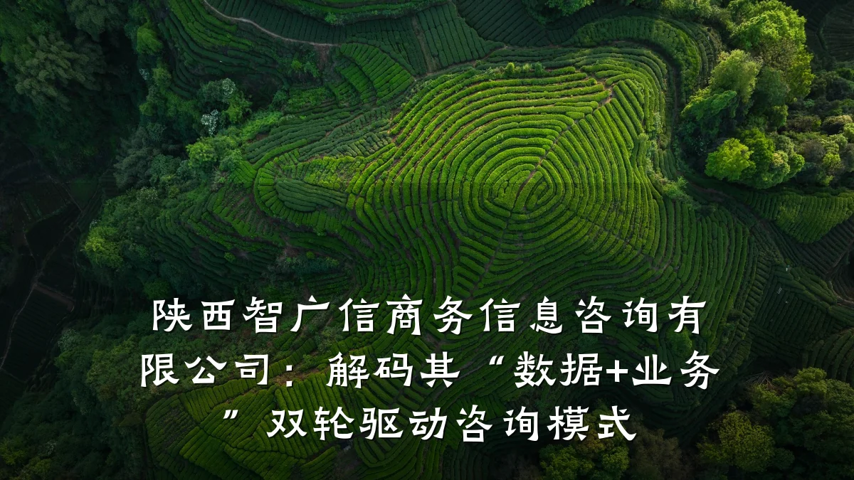 陕西智广信商务信息咨询有限公司：解码其“数据+业务”双轮驱动咨询模式