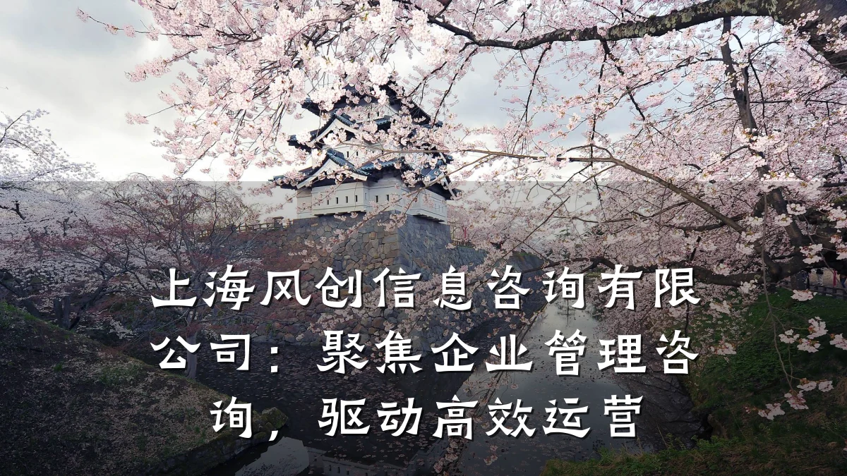 上海风创信息咨询有限公司：聚焦企业管理咨询，驱动高效运营