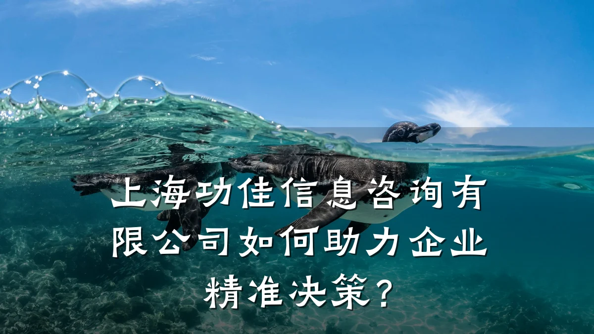 上海功佳信息咨询有限公司如何助力企业精准决策？