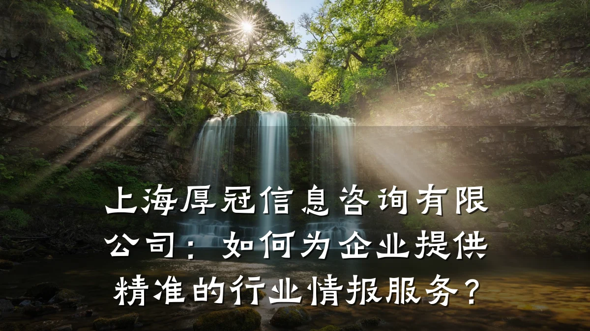 上海厚冠信息咨询有限公司：如何为企业提供精准的行业情报服务？