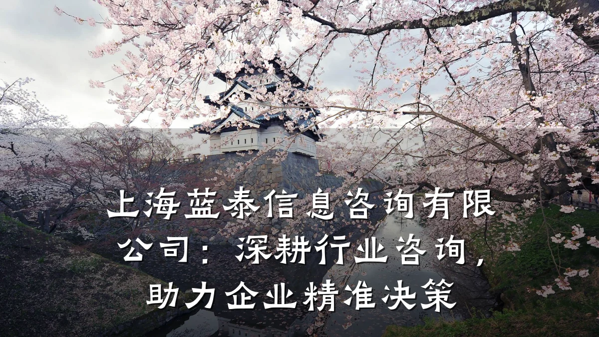 上海蓝泰信息咨询有限公司：深耕行业咨询，助力企业精准决策