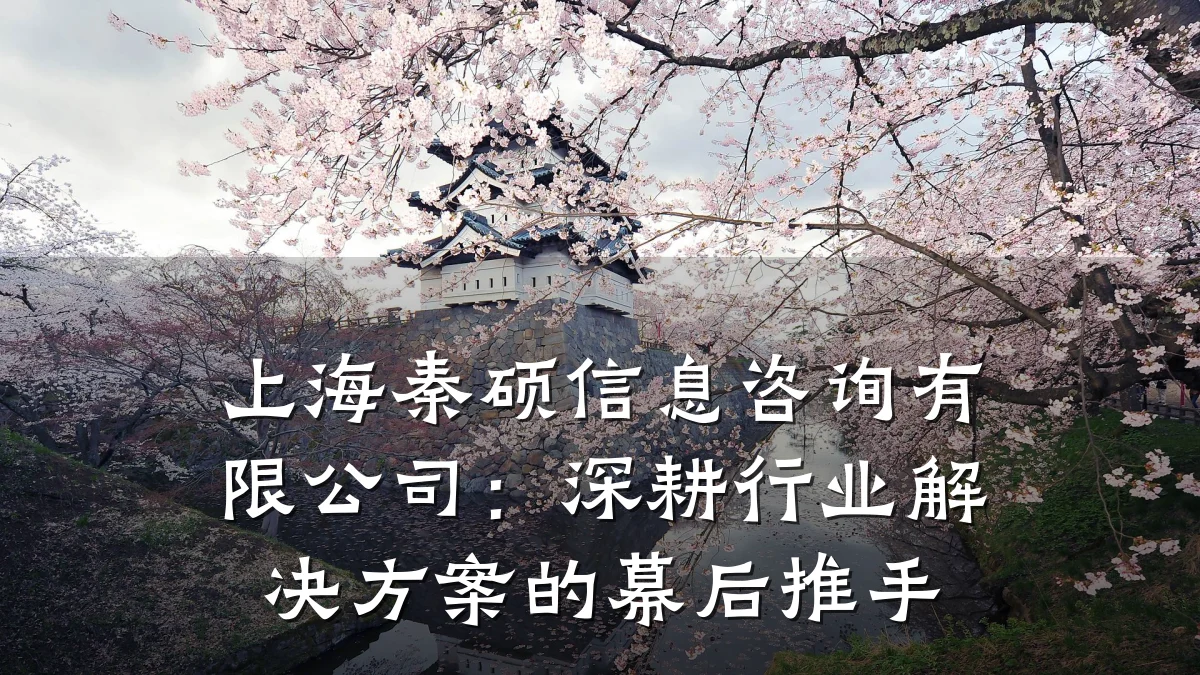 上海秦硕信息咨询有限公司：深耕行业解决方案的幕后推手