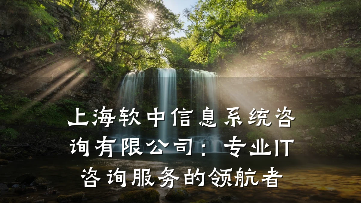 上海软中信息系统咨询有限公司：专业IT咨询服务的领航者