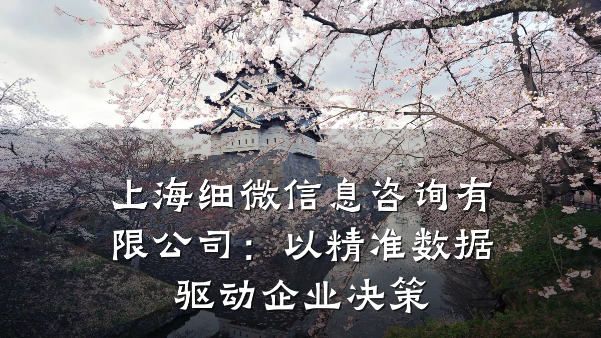 上海细微信息咨询有限公司：以精准数据驱动企业决策