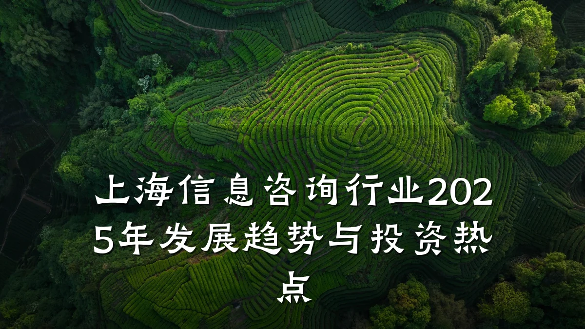 上海信息咨询行业2025年发展趋势与投资热点