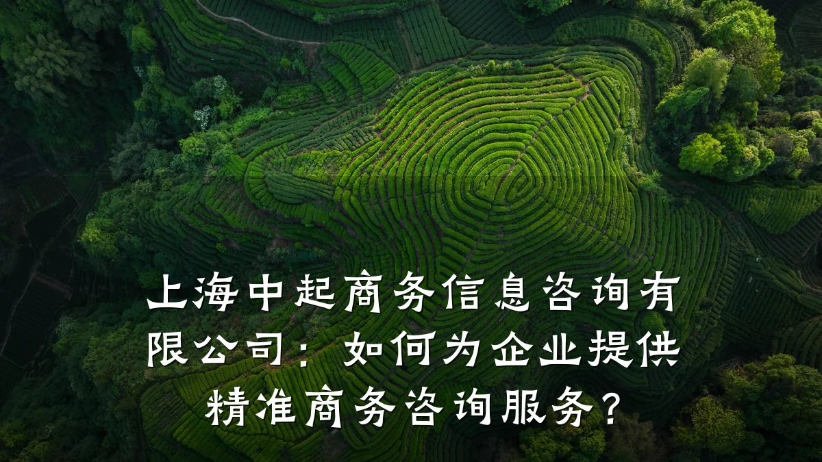 上海中起商务信息咨询有限公司：如何为企业提供精准商务咨询服务？