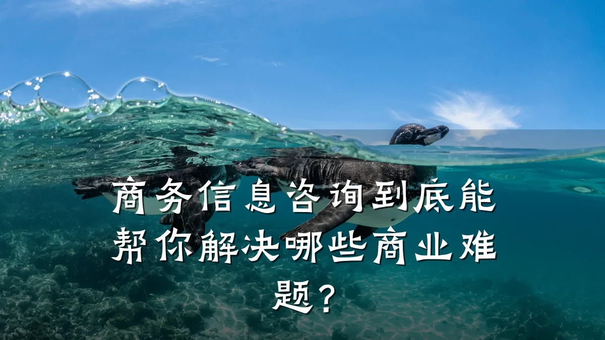 商务信息咨询到底能帮你解决哪些商业难题？