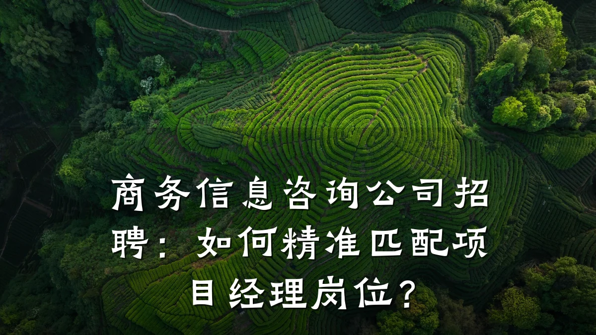商务信息咨询公司招聘：如何精准匹配项目经理岗位？