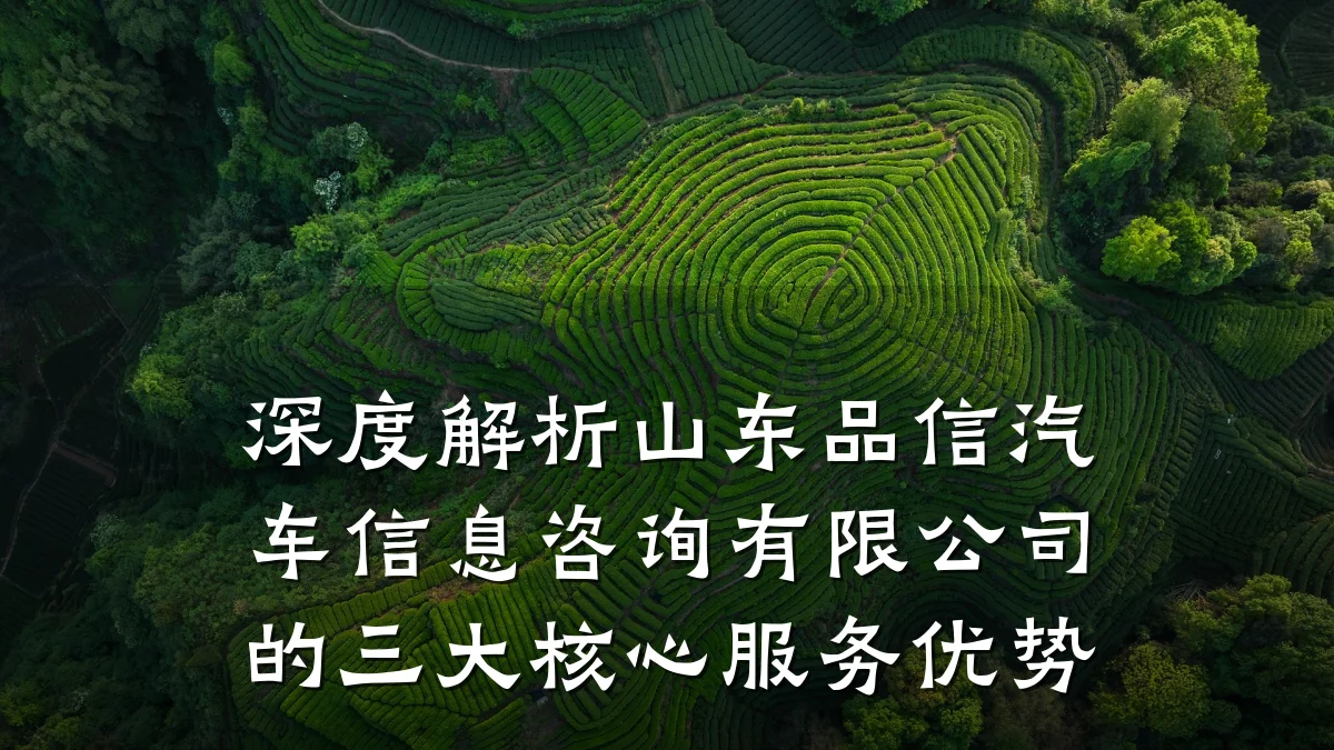 深度解析山东品信汽车信息咨询有限公司的三大核心服务优势