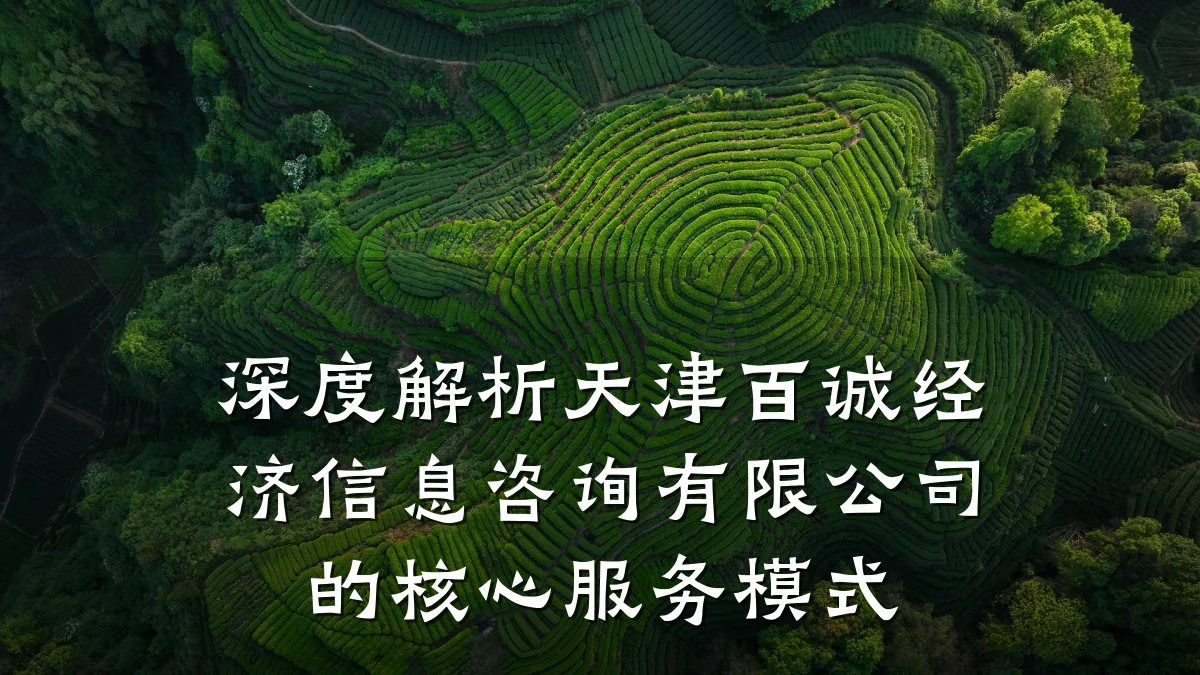 深度解析天津百诚经济信息咨询有限公司的核心服务模式
