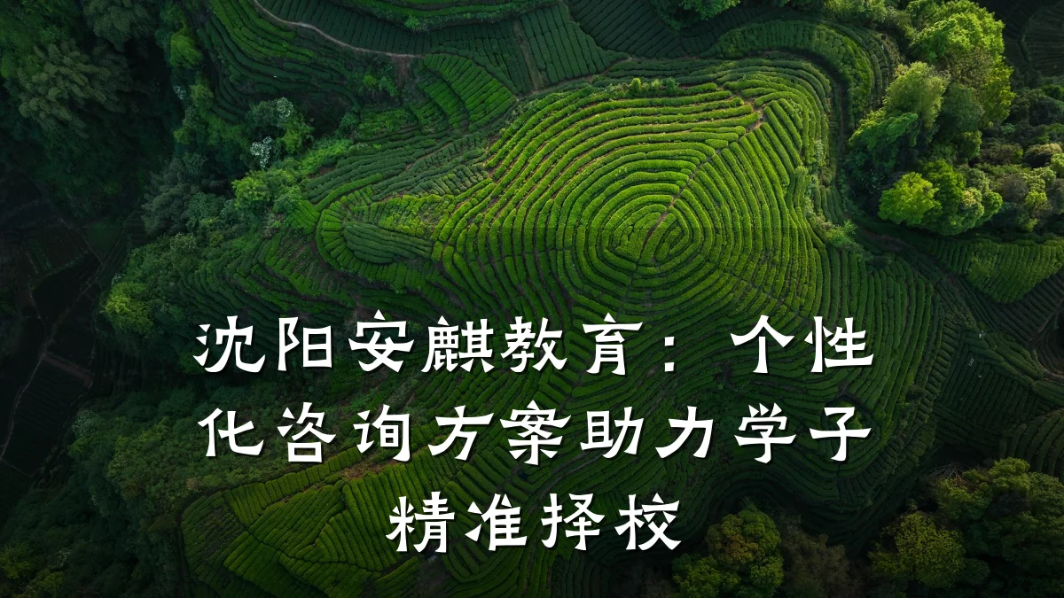 沈阳安麒教育：个性化咨询方案助力学子精准择校