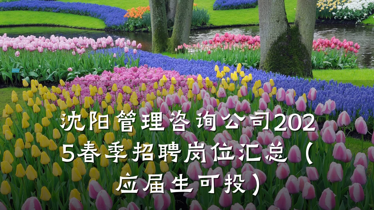 沈阳管理咨询公司2025春季招聘岗位汇总（应届生可投）