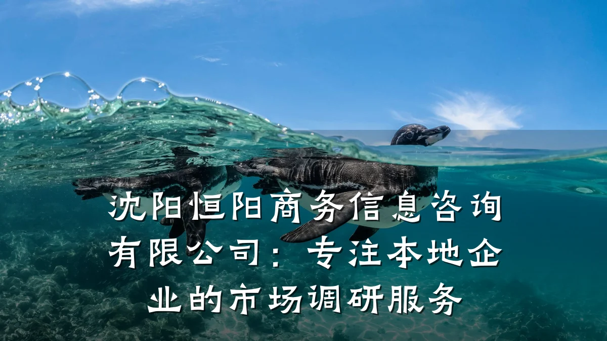 沈阳恒阳商务信息咨询有限公司：专注本地企业的市场调研服务