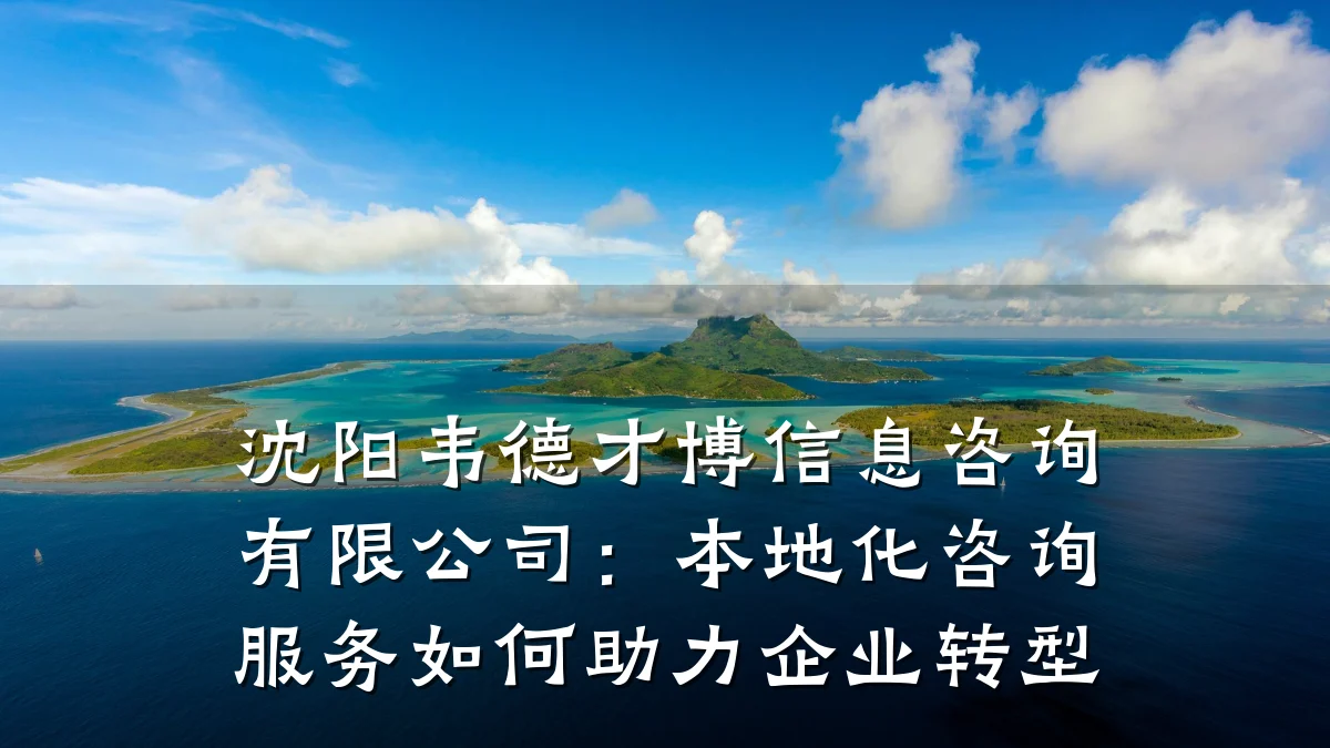 沈阳韦德才博信息咨询有限公司：本地化咨询服务如何助力企业转型