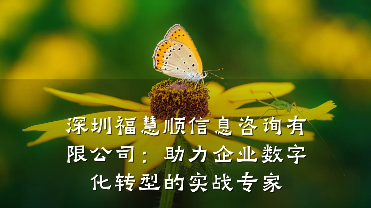 深圳福慧顺信息咨询有限公司：助力企业数字化转型的实战专家