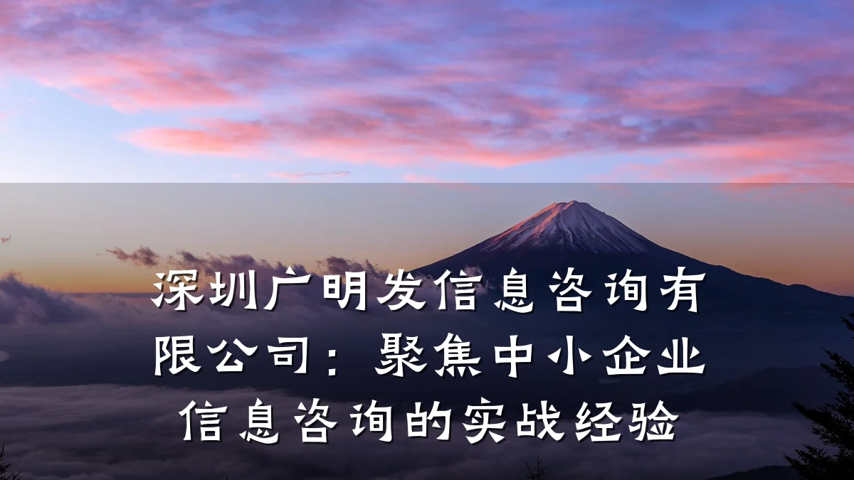 深圳广明发信息咨询有限公司：聚焦中小企业信息咨询的实战经验