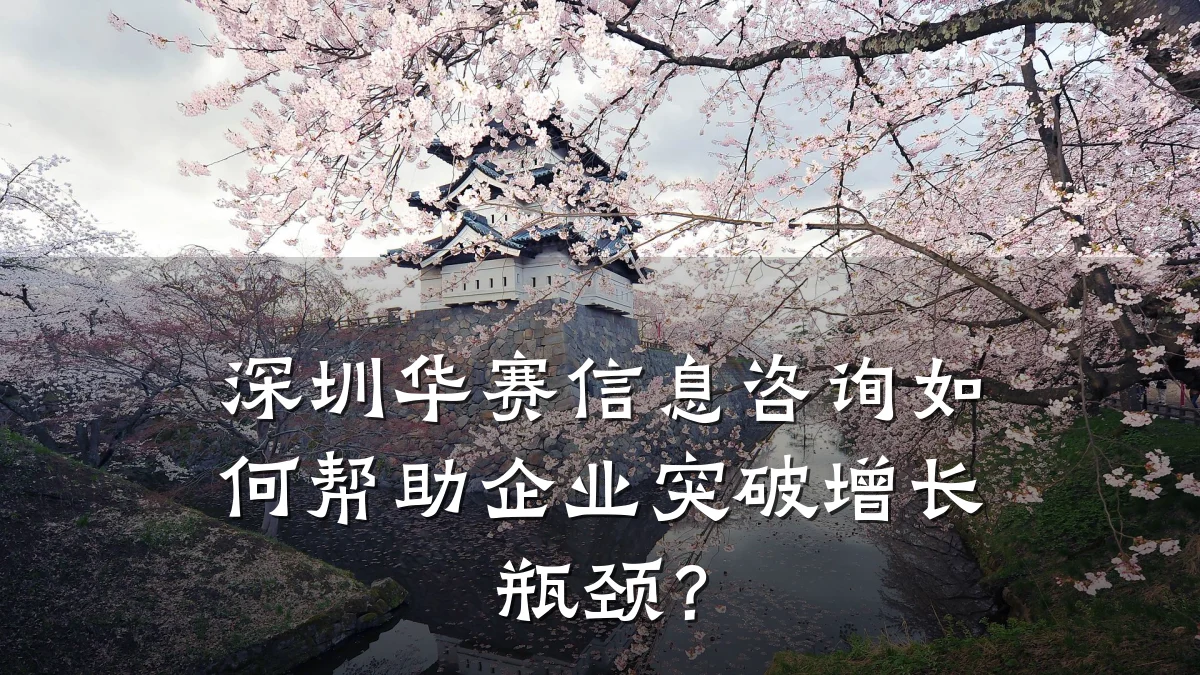深圳华赛信息咨询如何帮助企业突破增长瓶颈？