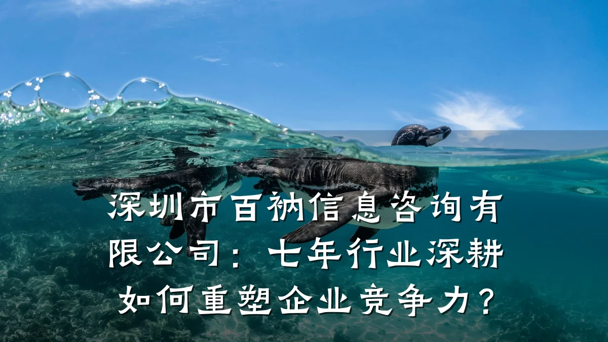 深圳市百衲信息咨询有限公司：七年行业深耕如何重塑企业竞争力？