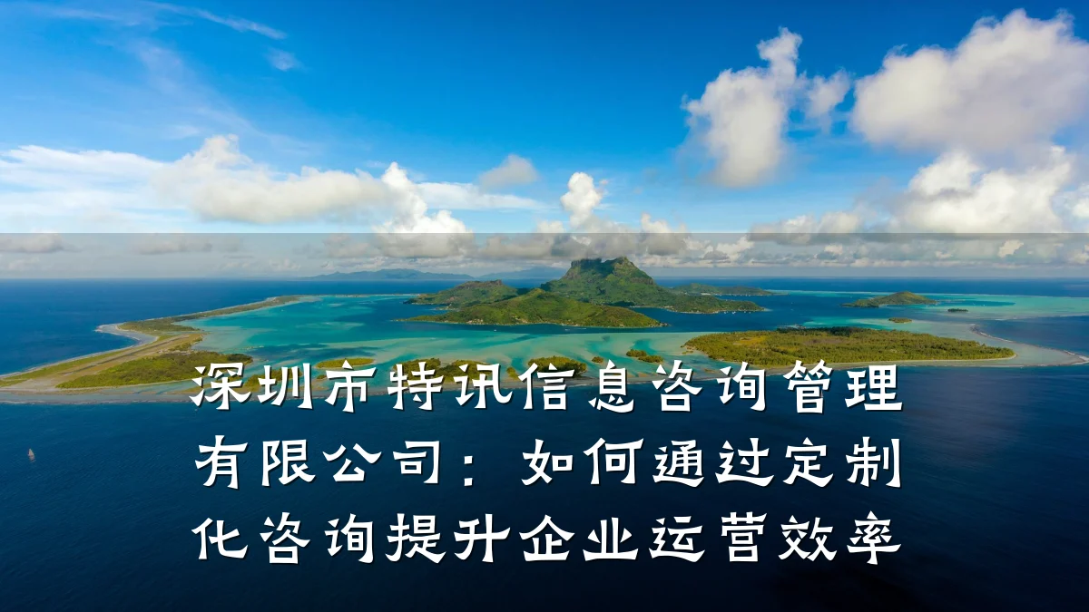 深圳市特讯信息咨询管理有限公司：如何通过定制化咨询提升企业运营效率