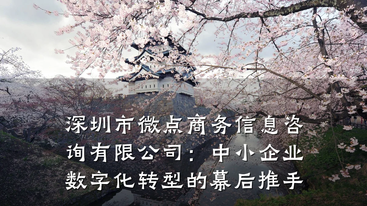 深圳市微点商务信息咨询有限公司：中小企业数字化转型的幕后推手