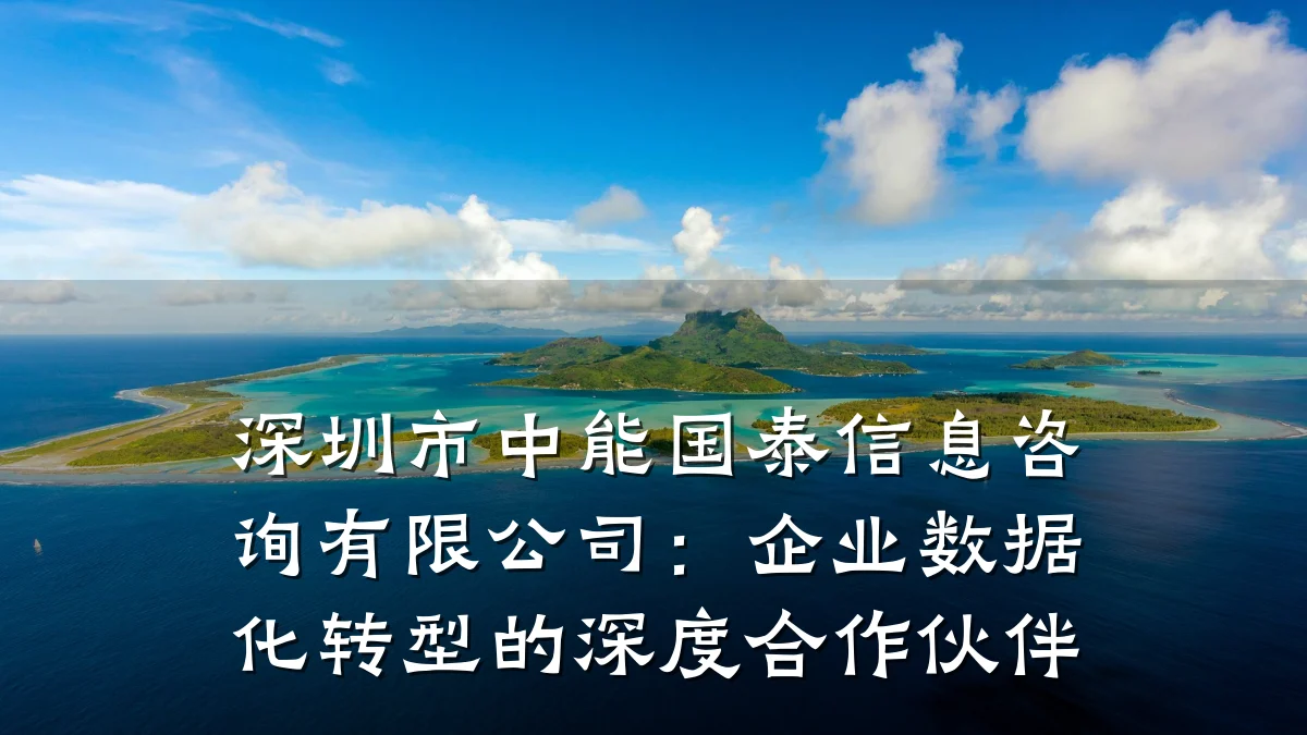 深圳市中能国泰信息咨询有限公司：企业数据化转型的深度合作伙伴