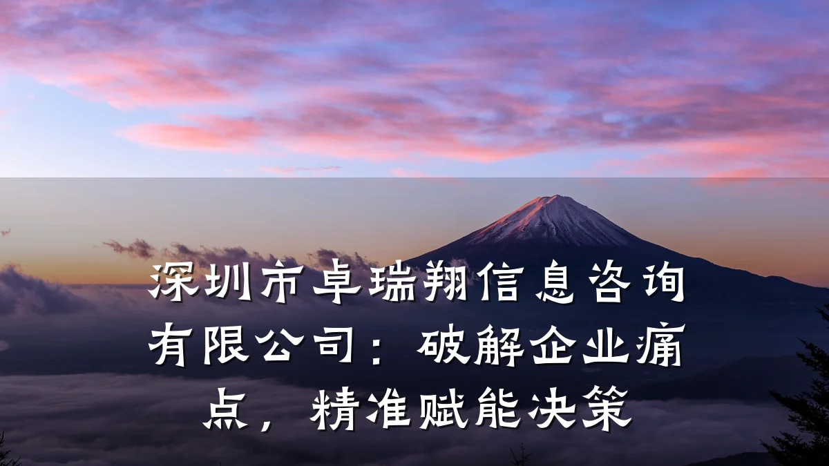 深圳市卓瑞翔信息咨询有限公司：破解企业痛点，精准赋能决策