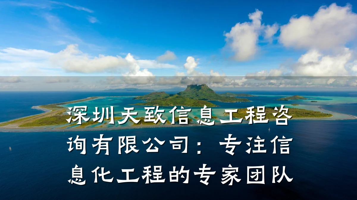 深圳天致信息工程咨询有限公司：专注信息化工程的专家团队
