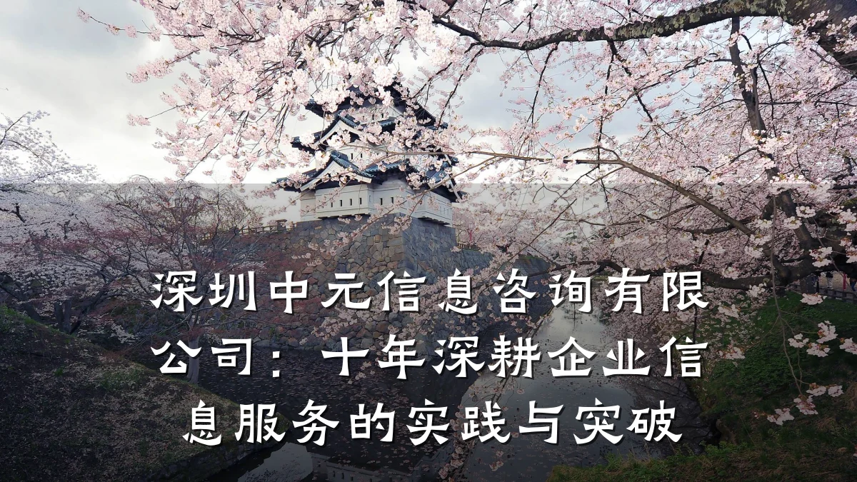 深圳中元信息咨询有限公司：十年深耕企业信息服务的实践与突破