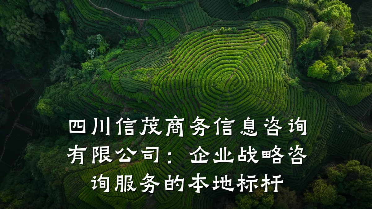 四川信茂商务信息咨询有限公司：企业战略咨询服务的本地标杆