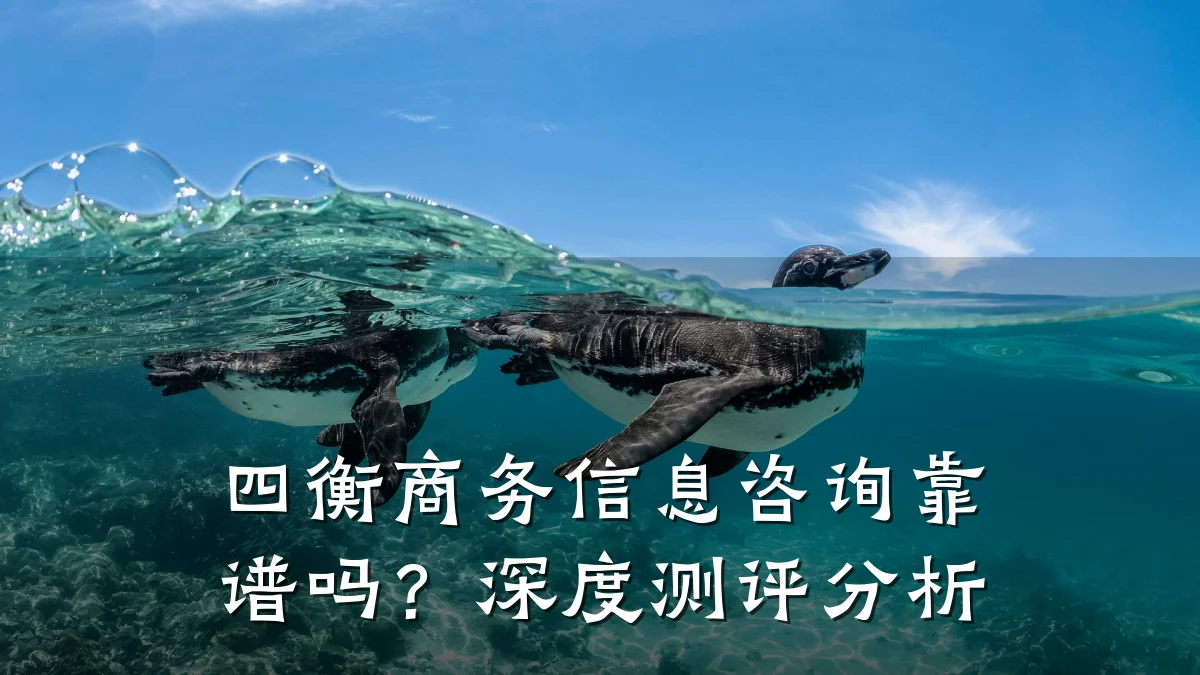 四衡商务信息咨询靠谱吗？深度测评分析