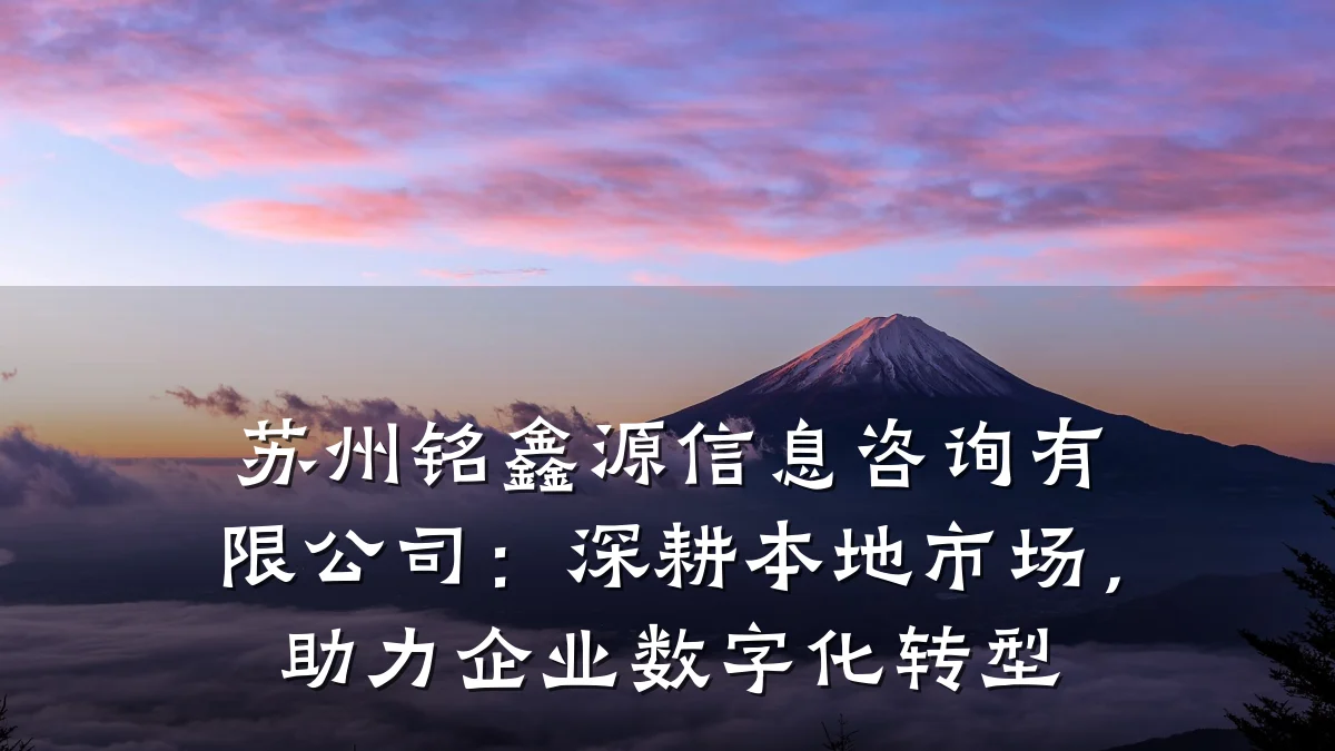 苏州铭鑫源信息咨询有限公司：深耕本地市场，助力企业数字化转型