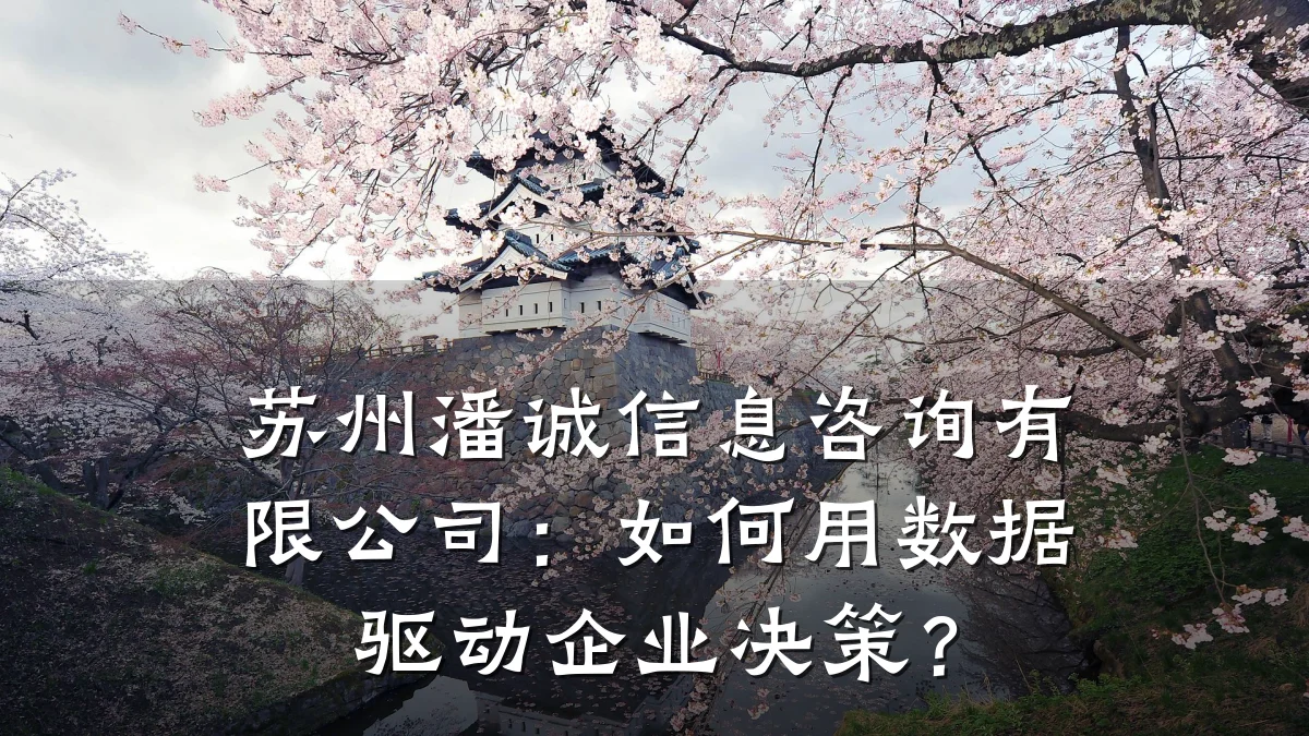 苏州潘诚信息咨询有限公司：如何用数据驱动企业决策？