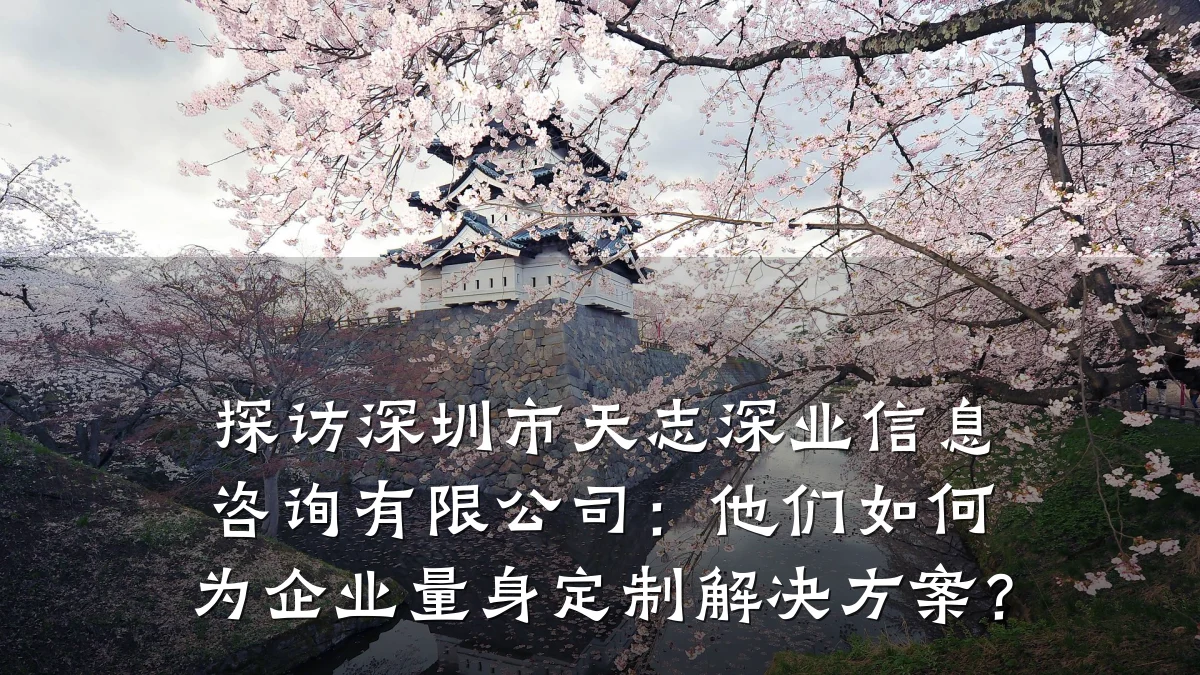 探访深圳市天志深业信息咨询有限公司：他们如何为企业量身定制解决方案？