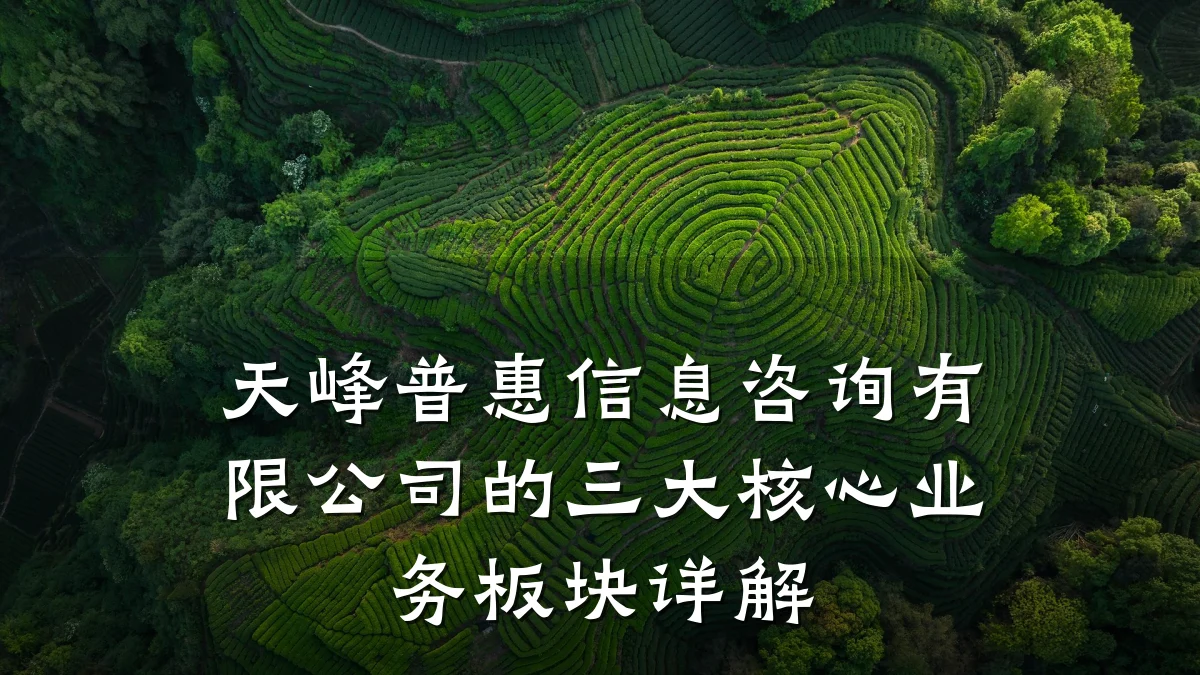 天峰普惠信息咨询有限公司的三大核心业务板块详解