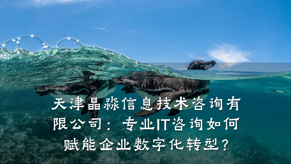 天津晶淼信息技术咨询有限公司：专业IT咨询如何赋能企业数字化转型？