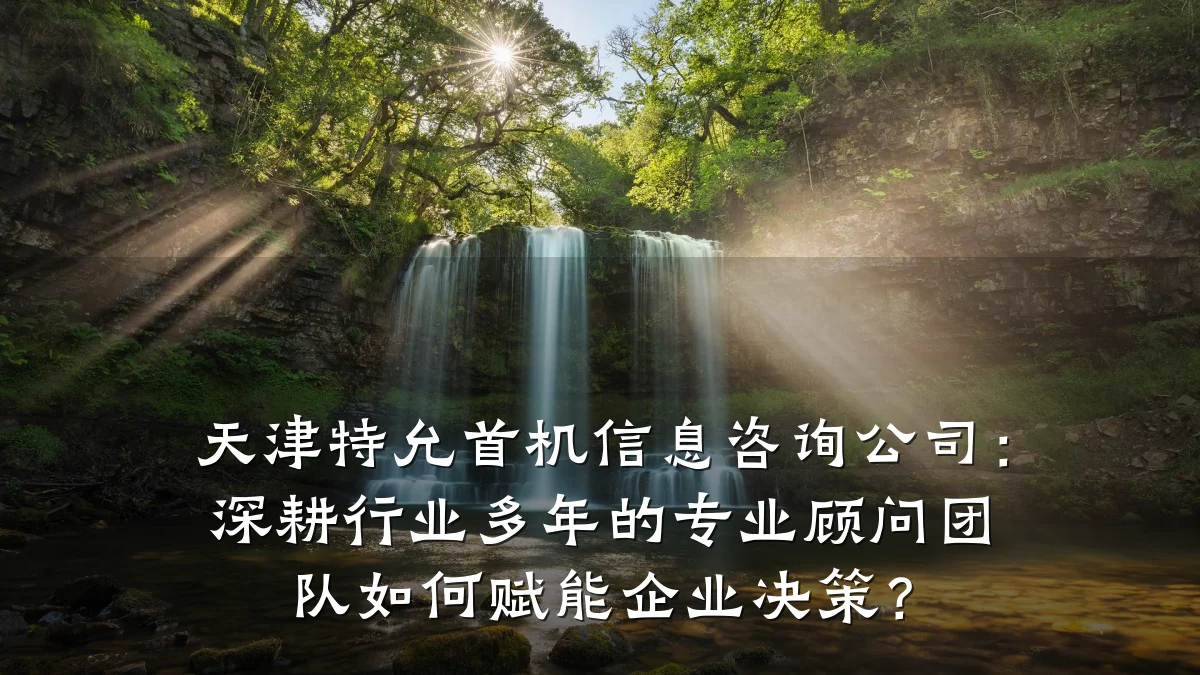 天津特允首机信息咨询公司：深耕行业多年的专业顾问团队如何赋能企业决策？