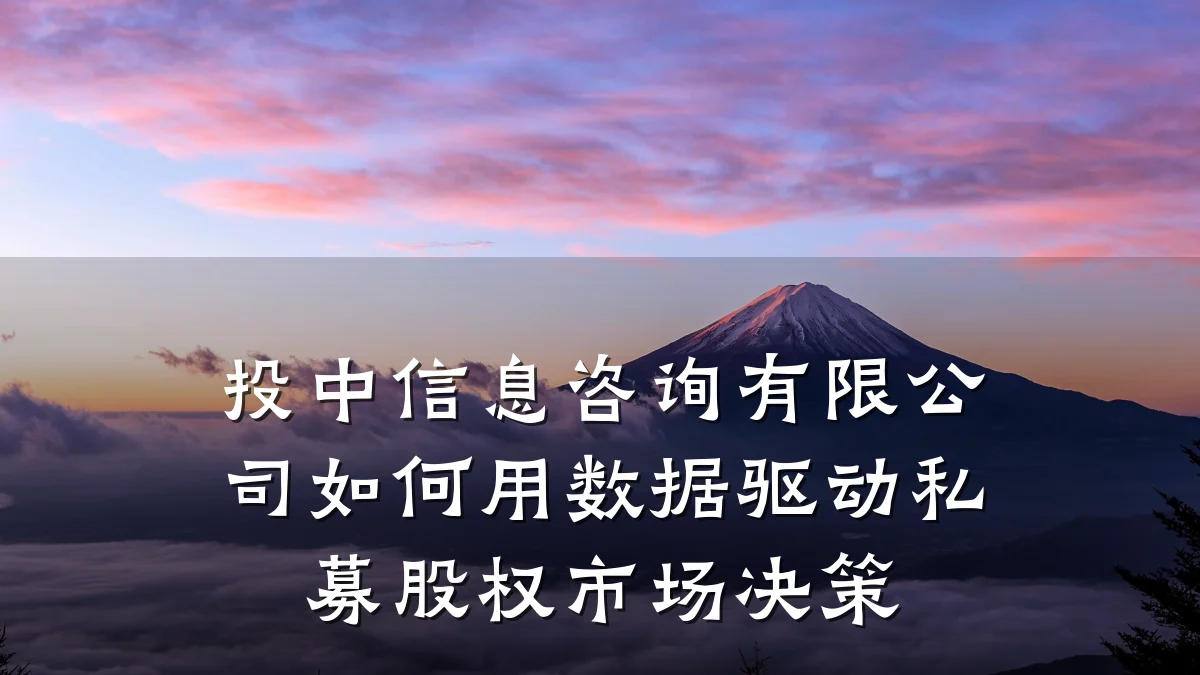 投中信息咨询有限公司如何用数据驱动私募股权市场决策