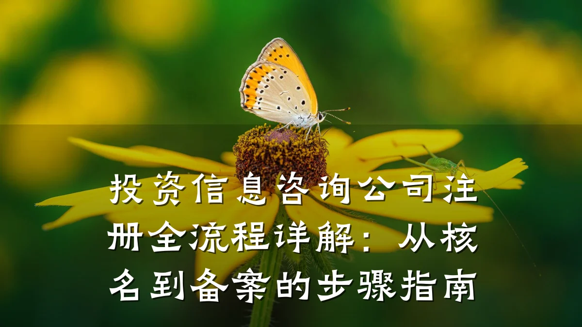 投资信息咨询公司注册全流程详解：从核名到备案的步骤指南