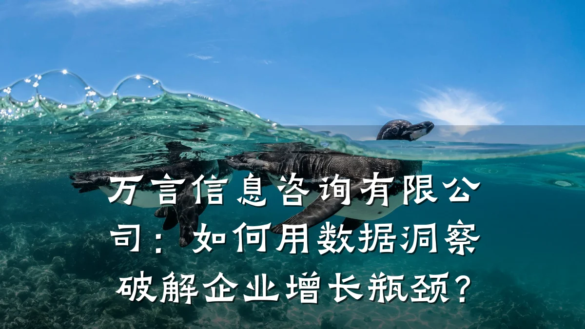 万言信息咨询有限公司：如何用数据洞察破解企业增长瓶颈？