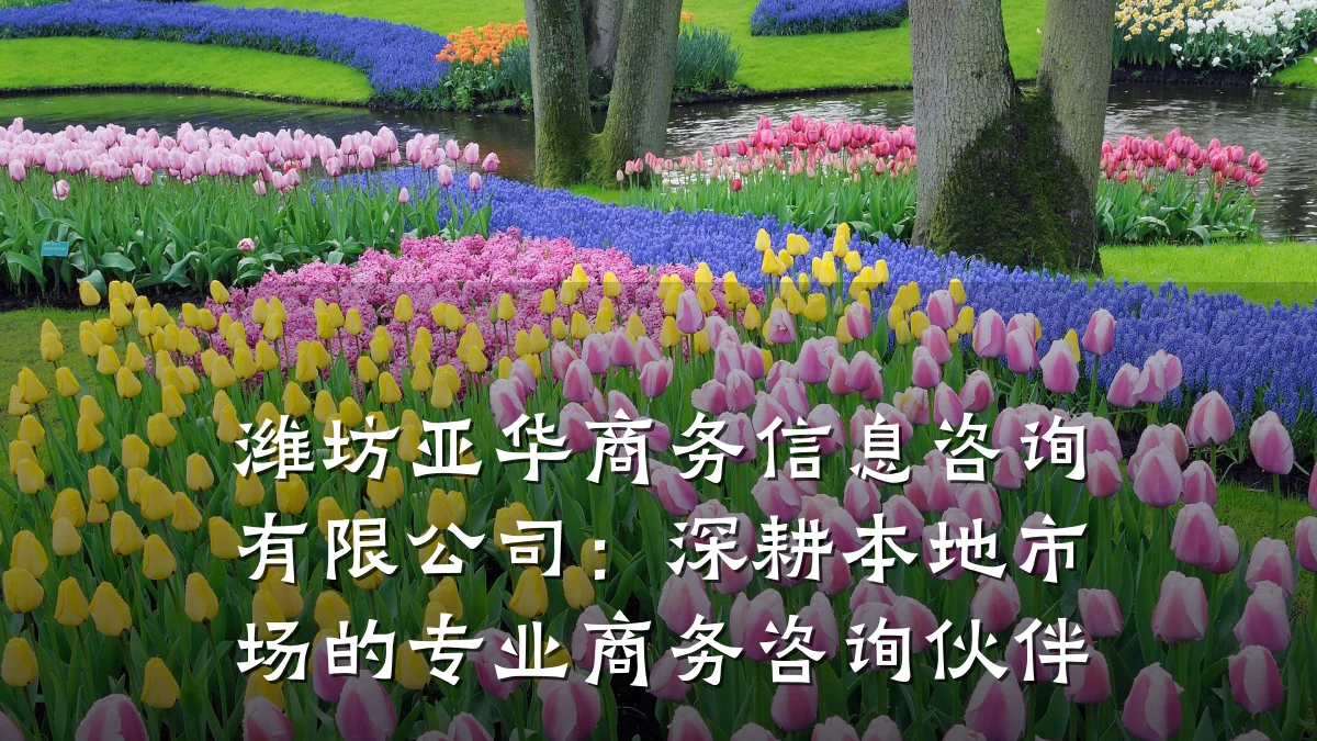 潍坊亚华商务信息咨询有限公司：深耕本地市场的专业商务咨询伙伴