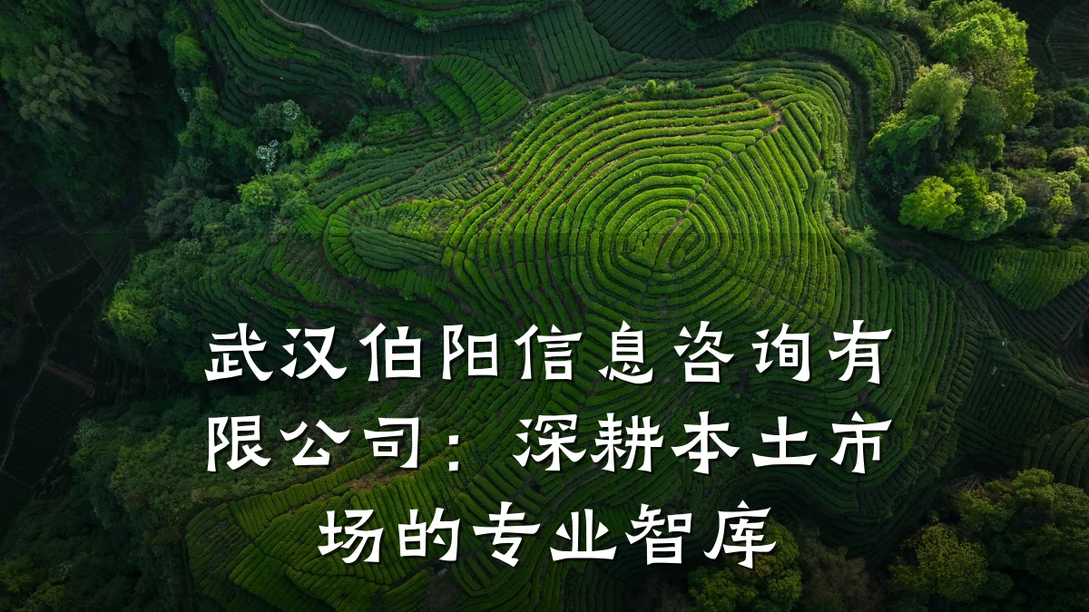 武汉伯阳信息咨询有限公司：深耕本土市场的专业智库