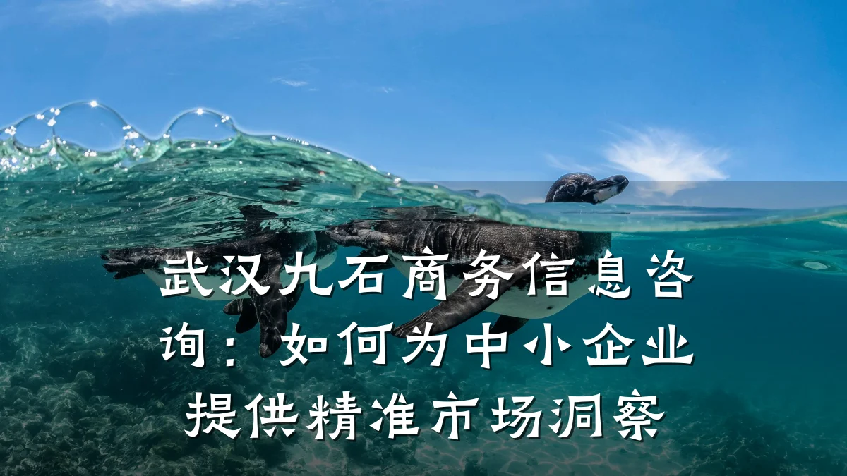 武汉九石商务信息咨询：如何为中小企业提供精准市场洞察
