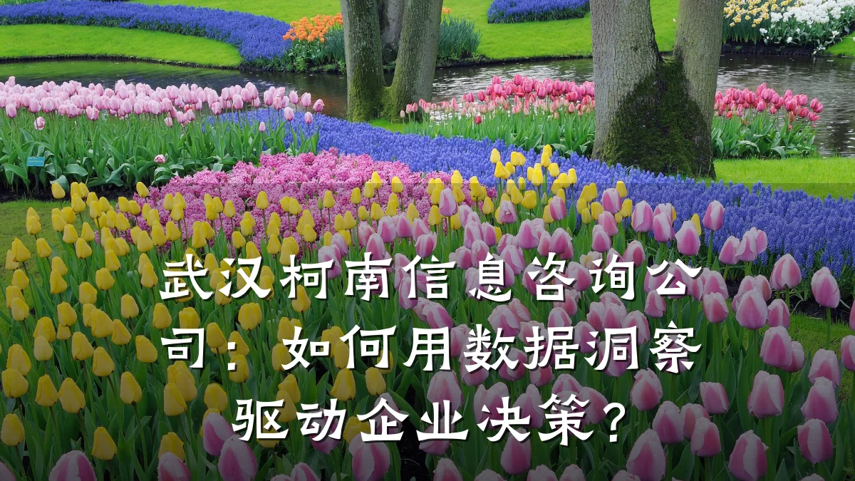 武汉柯南信息咨询公司：如何用数据洞察驱动企业决策？