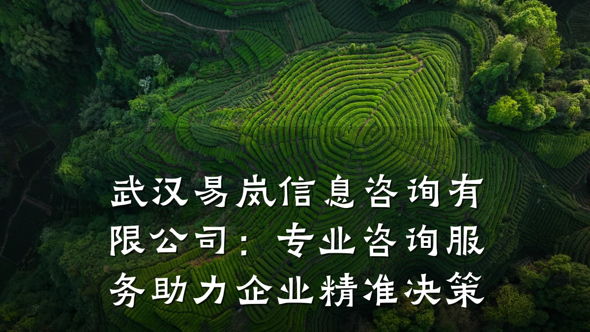 武汉易岚信息咨询有限公司：专业咨询服务助力企业精准决策